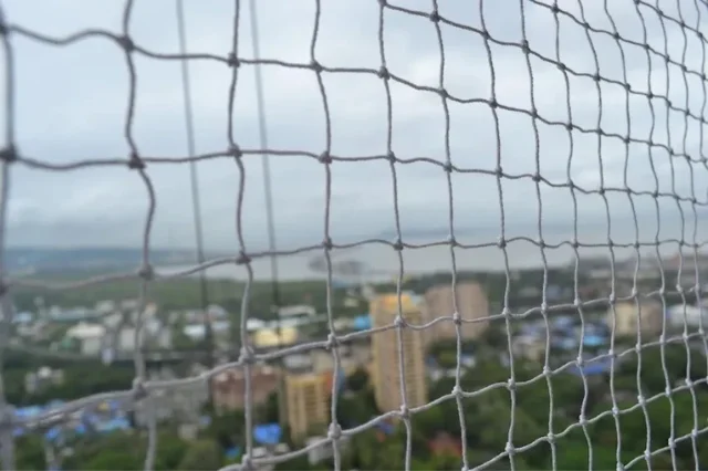 Pigeon Netting
